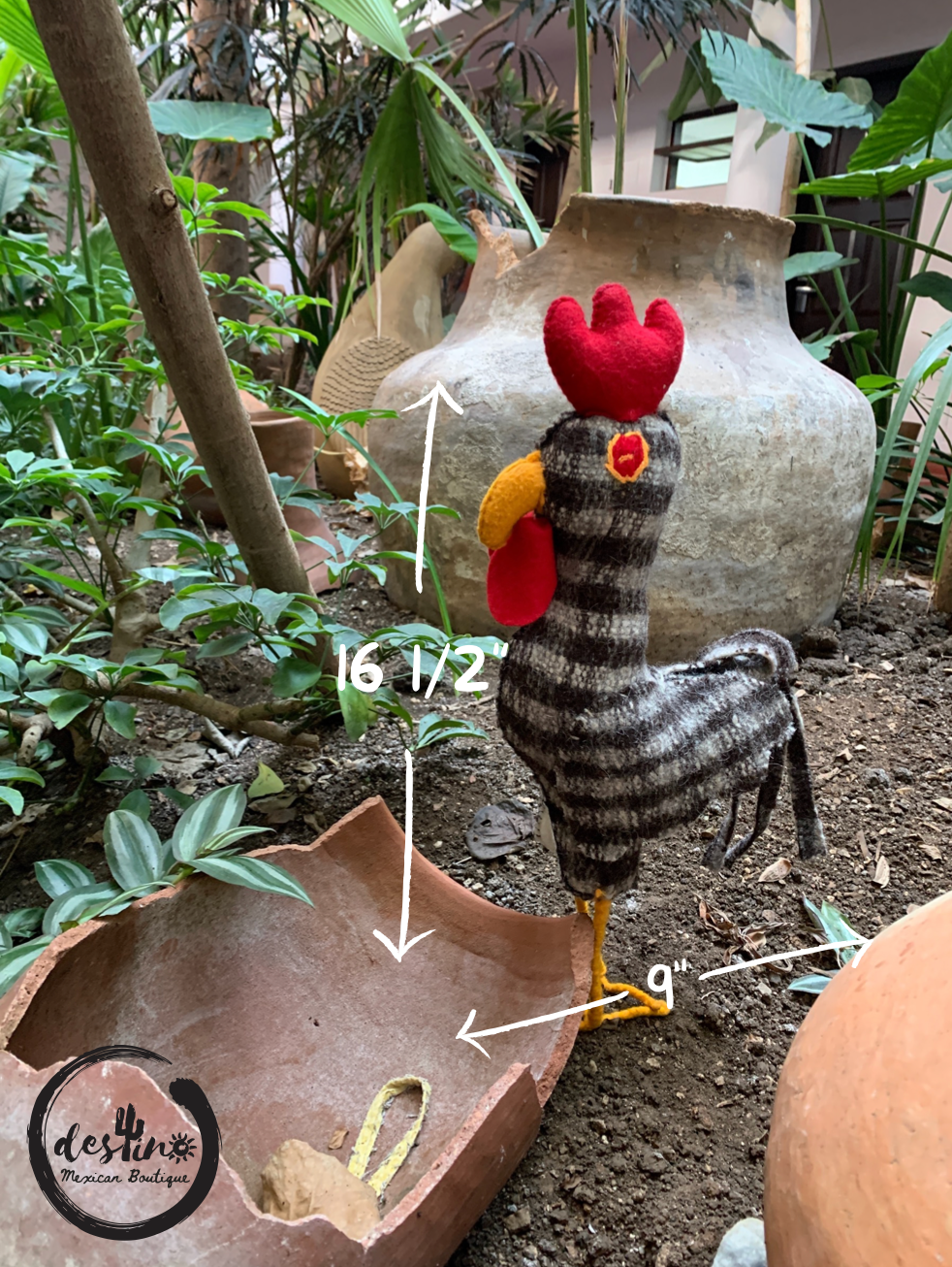 El Gallo